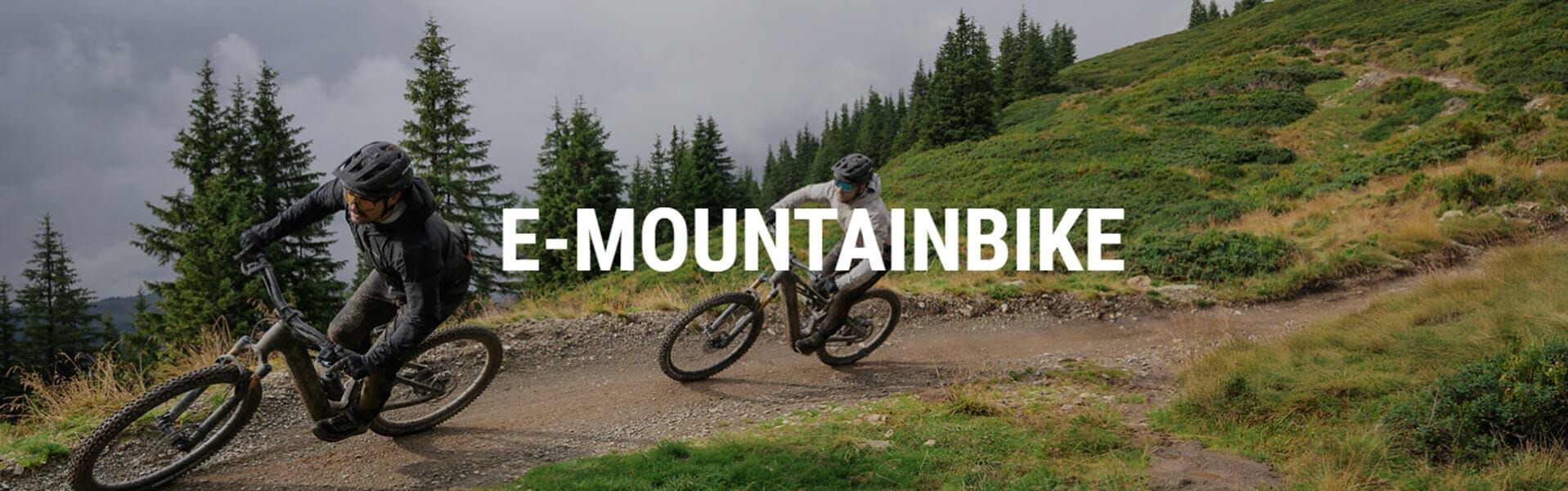 terreng el sykkel banner.jpg