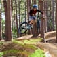 barnesykkel-frog-mtb-62-sandstorm-gold-24 (1).jpeg