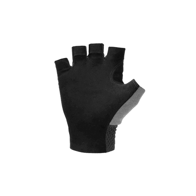 12580_Rel 12580_F1_01.png
