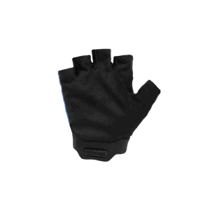 12616_Rel 12616_F1_01.png