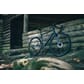 1135500_O_P_05.jpg