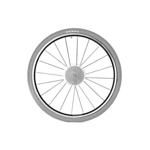 FROG BAKHJUL 20"  52/55