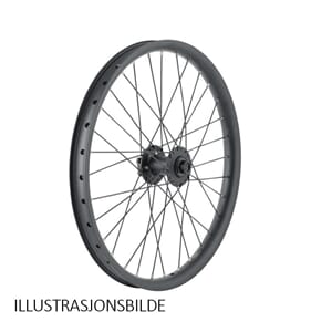 LITE CARGO Disc Hjul IS 20"/406mm DB32 Cargo felg, 15x100mm