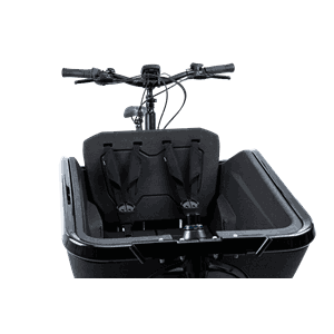 CUBE Safety Belt CARGO