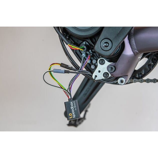 SB3BT_Y_Rel 36e34e3d010ce99fd98354e3f433017a (1).jpg