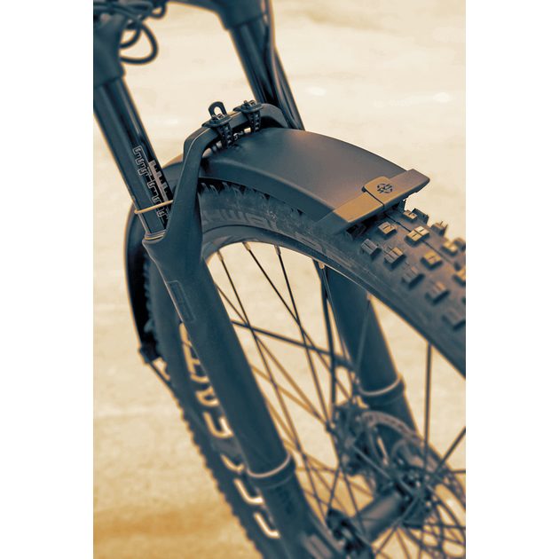 11527_Rel 11527_BLUEMELS_75_U_image_03_late_sunset.png