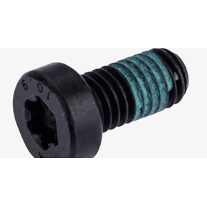 Bosch Bolter motor,2stk  M8 x 16mm