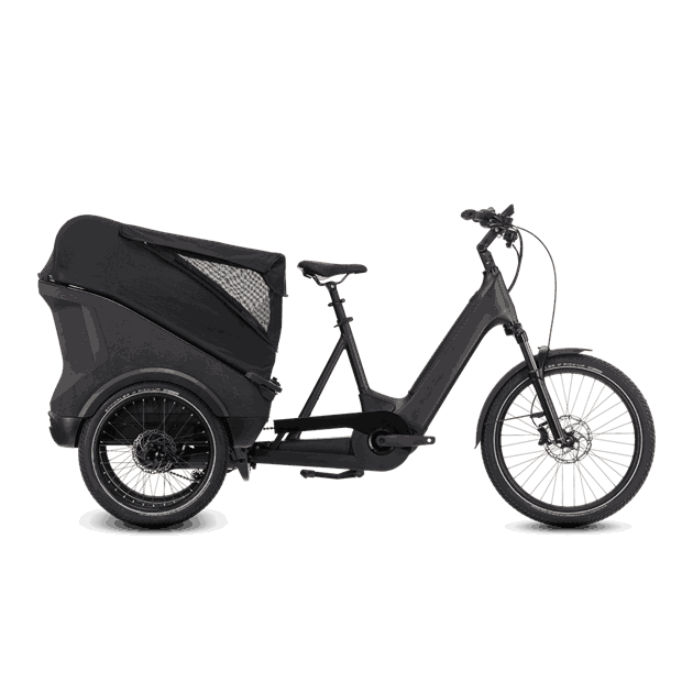 789542 789542_F1_00.png